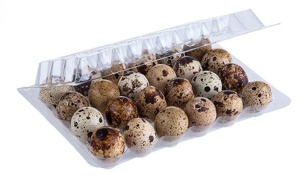 Huevos de Codorniz frescos recién puestos de la codorniz a la mesa